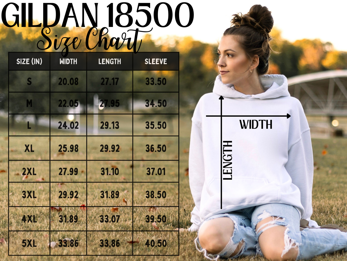 Lewis County Fair Hoodies - 2025- Saddle Up - Aint My First Rodeo